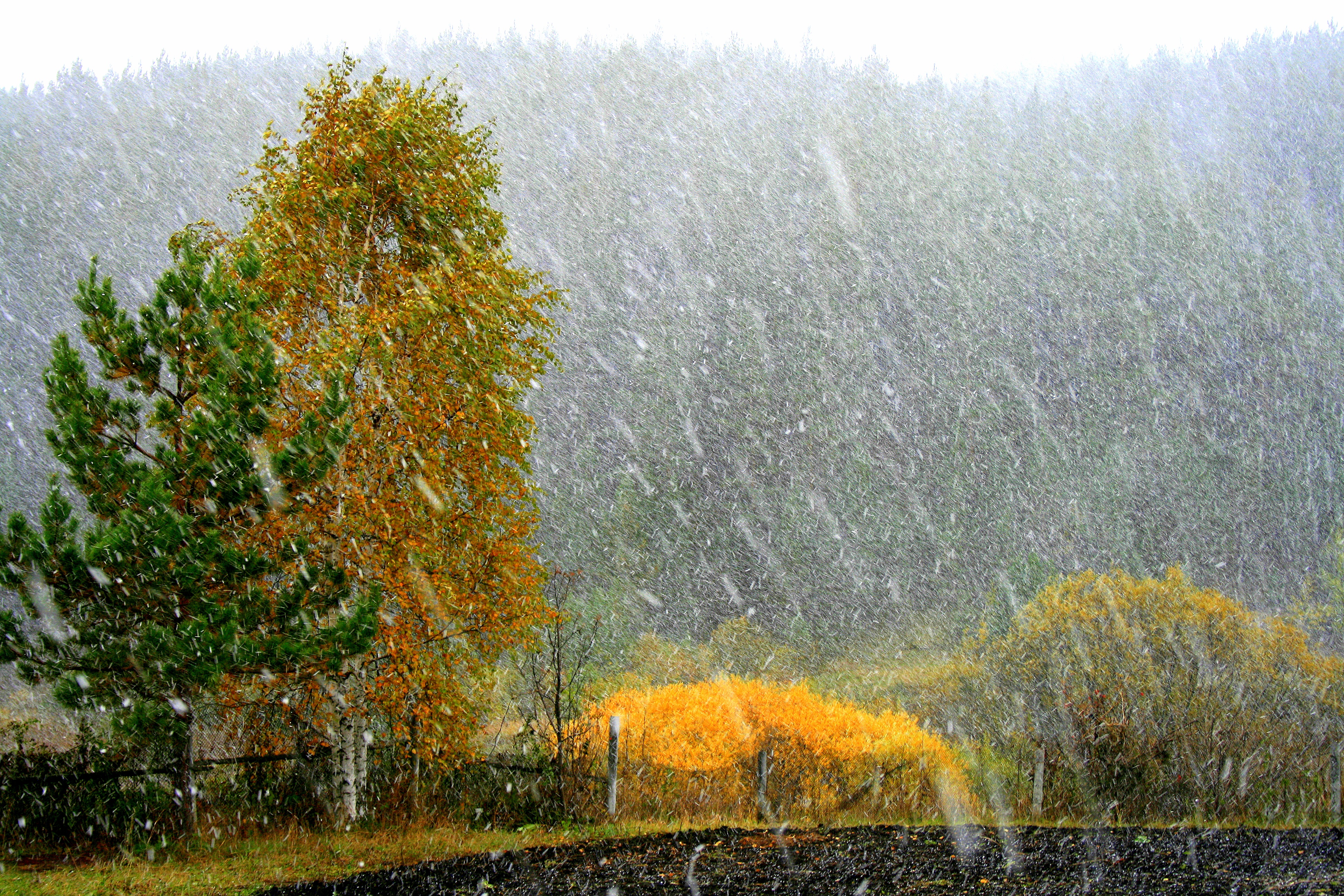 Солнце ненастный день. Дождливая осень. Дождь осенью. Осень дождь. Осенний ливень.