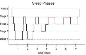 Graph showing the passage through the four principle phases of sleep over the course of a night. Portions marked in red indicate REM sleep. Kemsters/GNU FDL. For Dream Incubation blog post.