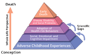 The Adverse Childhood Experiences Pyramid shows how adverse childhood experiences are related to risk factors for disease, health, and social well-being. For Complex PTSD blog post